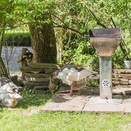 Altes Forstamt Im Teutoburger Wald-fewo Hofgarten *