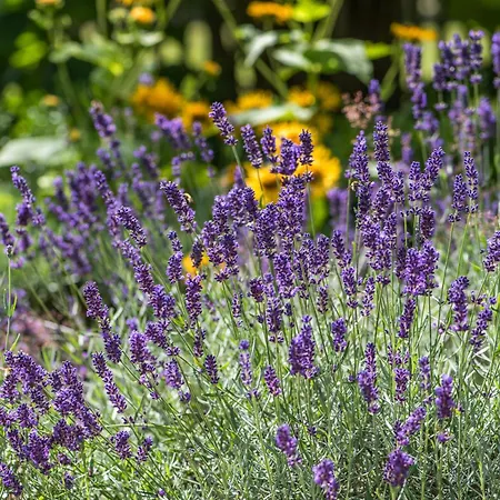 Διαμέρισμα Altes Forstamt Im Teutoburger Wald-fewo Hofgarten Altenbeken