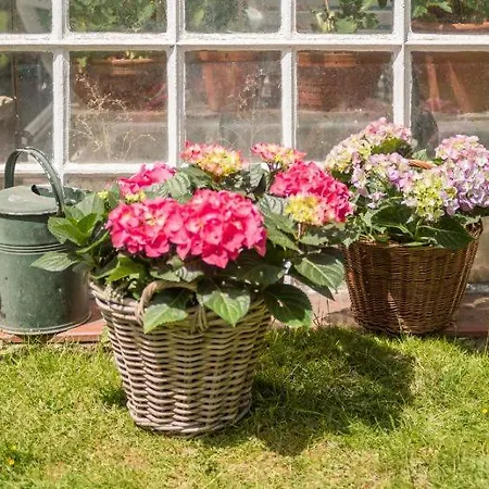 Altes Forstamt Im Teutoburger Wald-fewo Hofgarten * Altenbeken