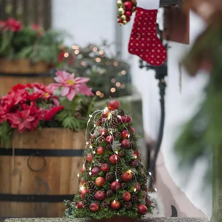 Appartement Altes Forstamt Im Teutoburger Wald-fewo Hofgarten Altenbeken