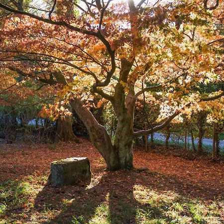 Appartement Altes Forstamt Im Teutoburger Wald-fewo Hofgarten