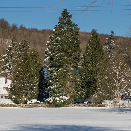 Altes Forstamt Im Teutoburger Wald-fewo Hofgarten Appartement