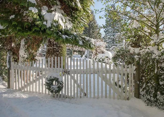 Altes Forstamt Im Teutoburger Wald-fewo Hofgarten