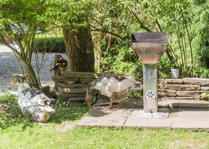 Altes Forstamt Im Teutoburger Wald-fewo Hofgarten *