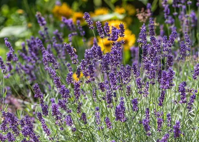 Lejlighed Altes Forstamt Im Teutoburger Wald-fewo Hofgarten Altenbeken