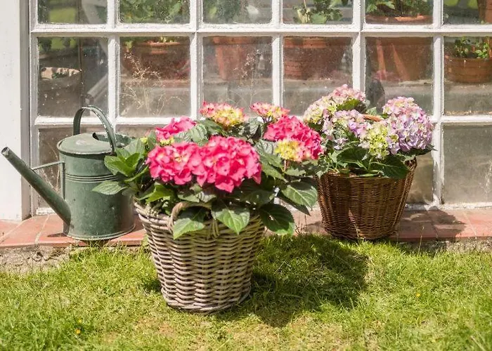 Altes Forstamt Im Teutoburger Wald-fewo Hofgarten * Altenbeken