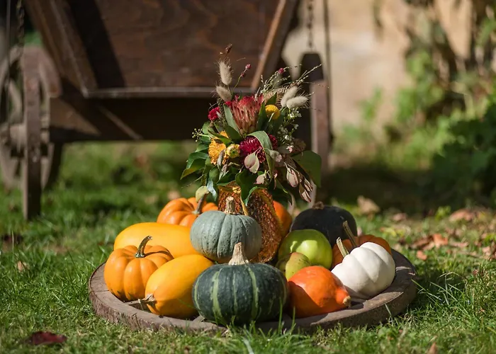 Altes Forstamt Im Teutoburger Wald-fewo Hofgarten Lejlighed