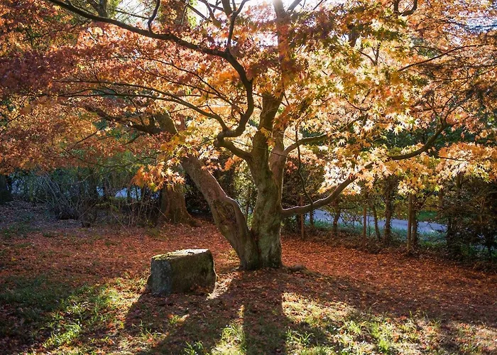 Daire Altes Forstamt Im Teutoburger Wald-fewo Hofgarten