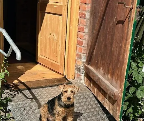 Lejlighed Altes Forstamt Im Teutoburger Wald-fewo Hofgarten