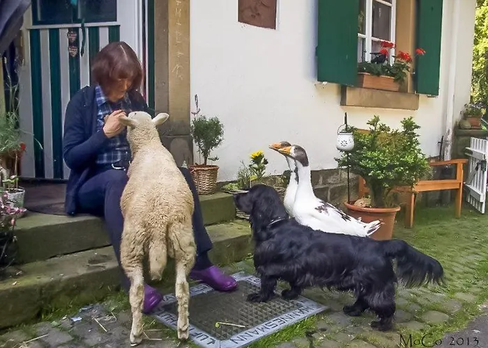 Lejlighed Altes Forstamt Im Teutoburger Wald-fewo Hofgarten Altenbeken