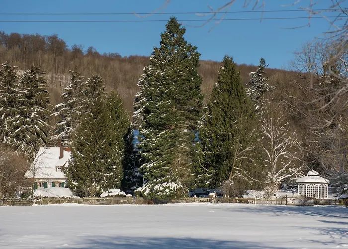 Altes Forstamt Im Teutoburger Wald-fewo Hofgarten Lejlighed