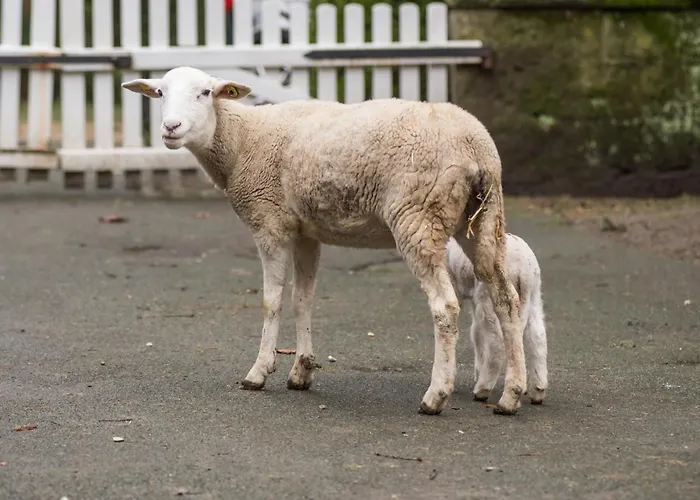 Altes Forstamt Im Teutoburger Wald-fewo Hofgarten Altenbeken